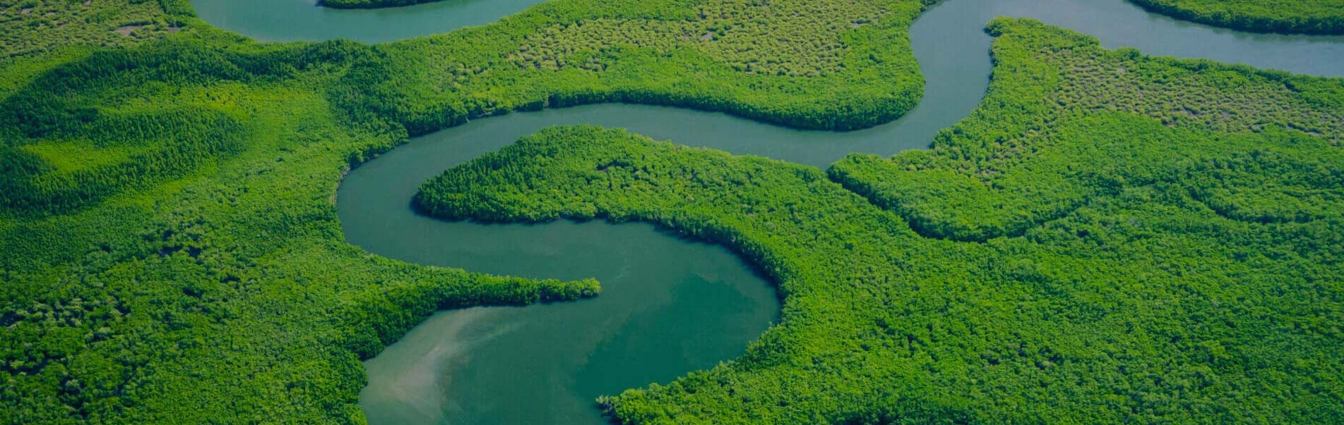 首页| 尊龙(中国集团)官方网站